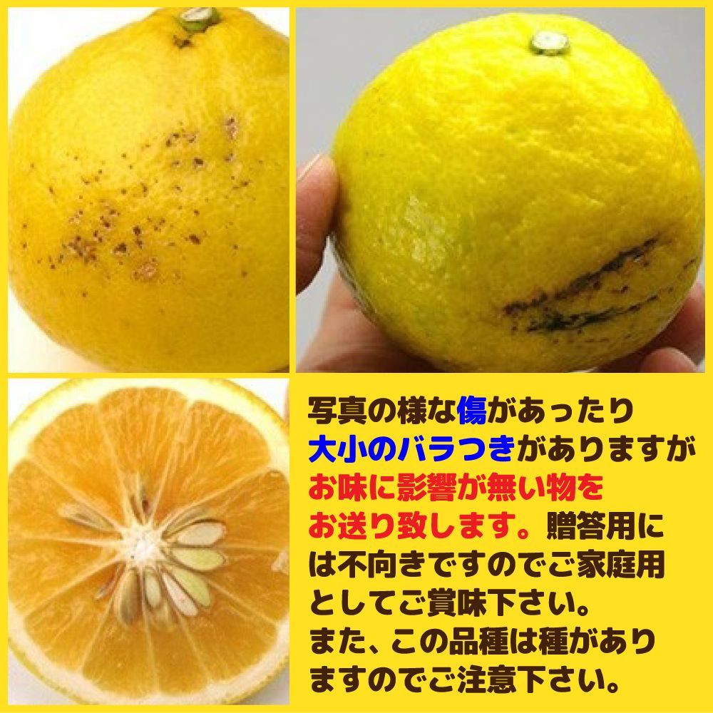 のサムネイル