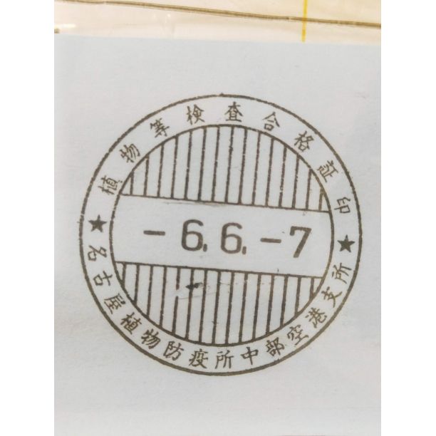 種証明書あり