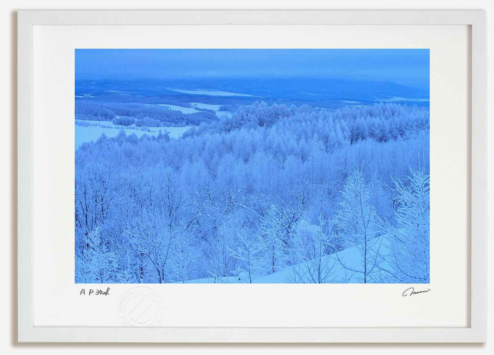 アートフォト 絵画 霧氷の森6 高橋真澄|インテリア 額入り 額装込 風景画 油絵 ポスター アート アートパネル リビング 玄関 プレゼント モダン アートフレーム 飾る Mサイズ おしゃれ 壁掛け 絵