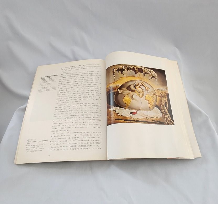 美術書】Salvador Dalí（サルバドール・ダリ）作品集 - メルカリ