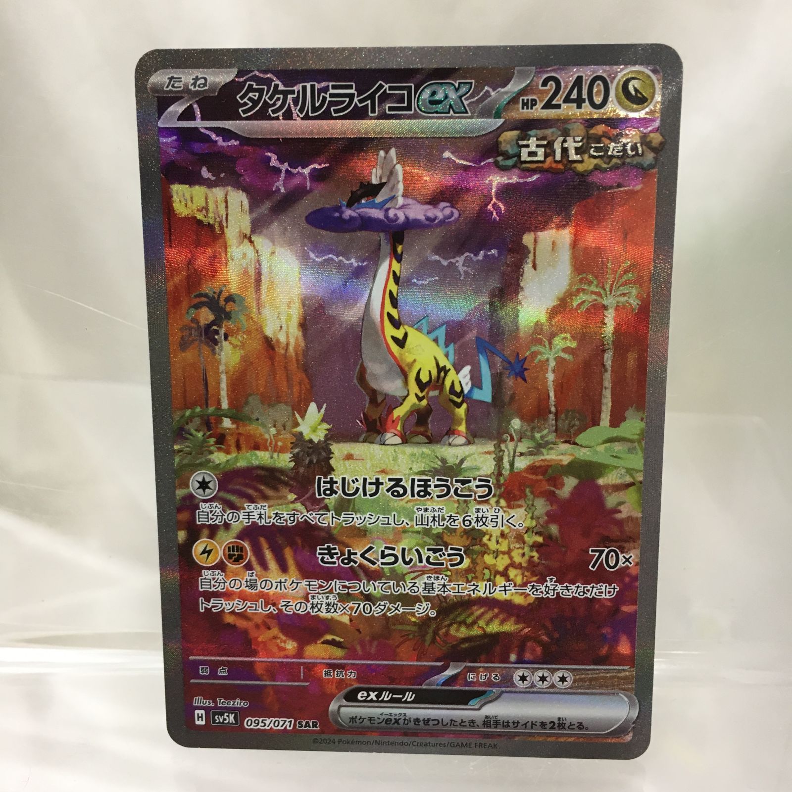 タケルライコex SAR 222/187｜ポケモンカードゲーム｜通販のPAO