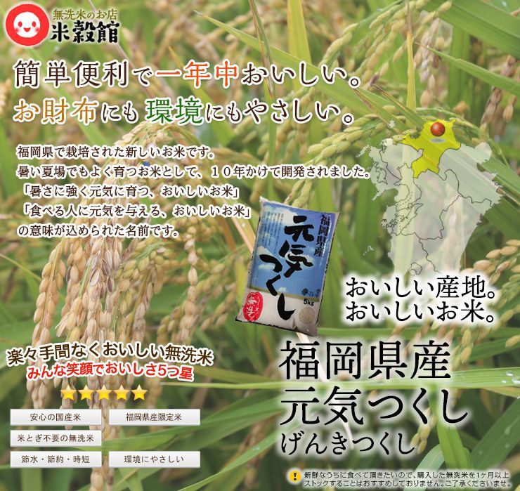 米5kg 無洗米 福岡県産 元気つくし 一般米 5キロ 送料無料九州産