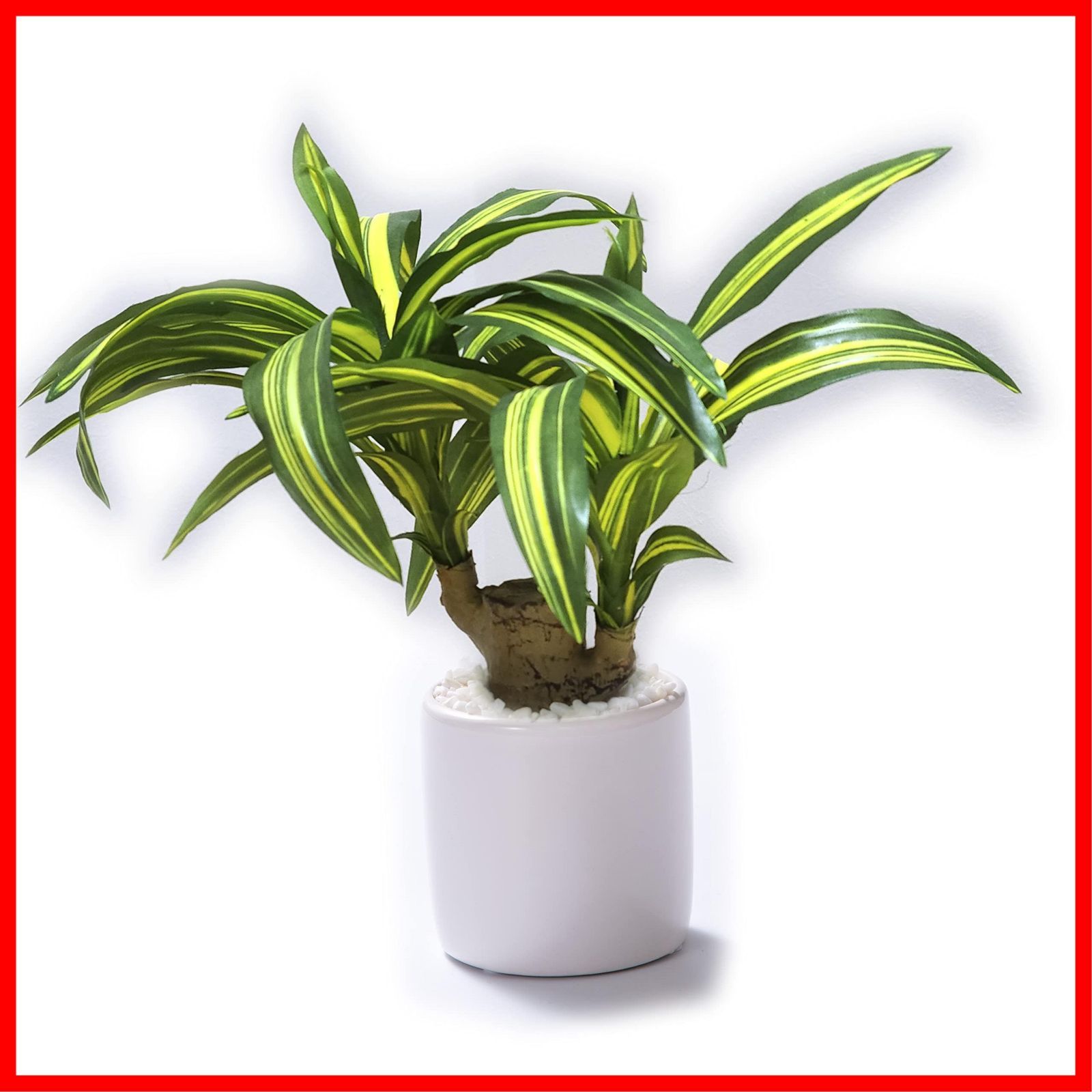 新着商品 インテリアグリーン 観葉植物 日本インソール工業 フェイク ミニ 人工 造花 白 鉢付き 光触媒 消臭 除菌 日本製 おしゃれ ドラセナ 幸運の木 高さ25cm×幅20cm 花器サイズ直径8cm