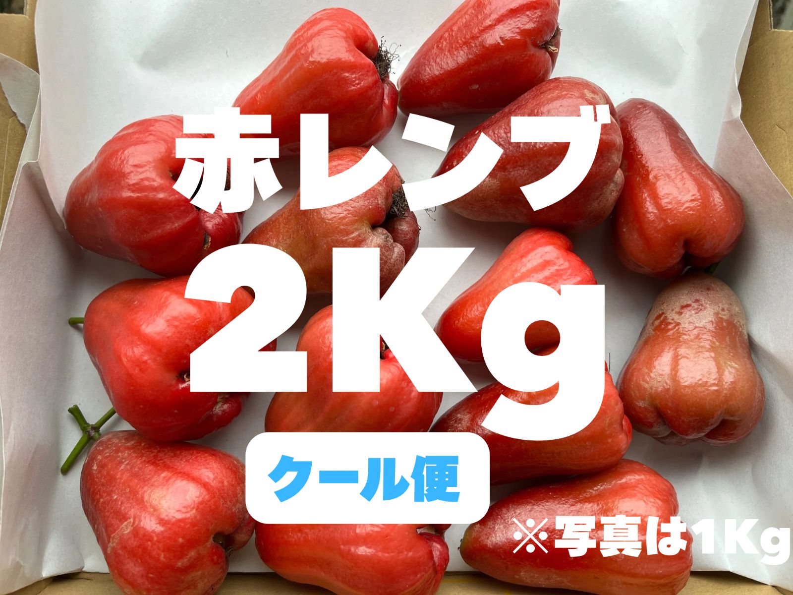 〈クール便〉※希少 赤レンブ 2Kg(傷あり品) 希少！赤レンブ 2kg (20個前後) クール便 - メルカリ