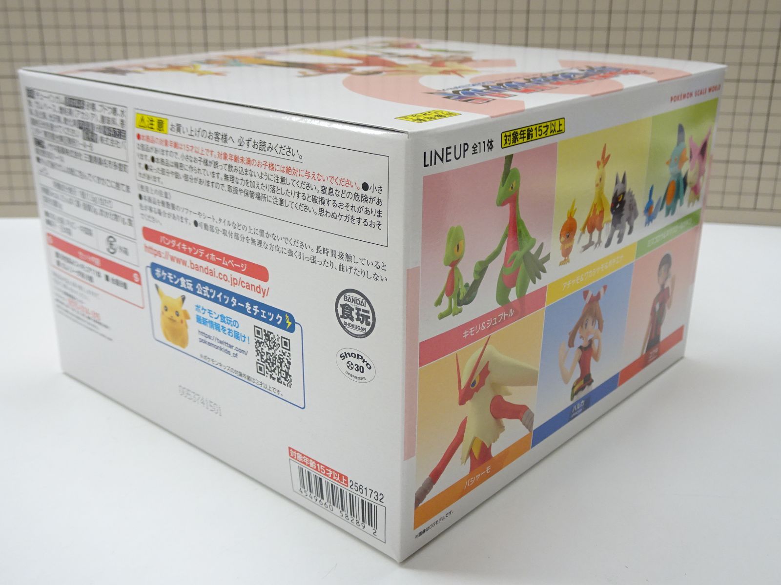 ポケモン スケールワールド ホウエン地方2 ボックス 検索
