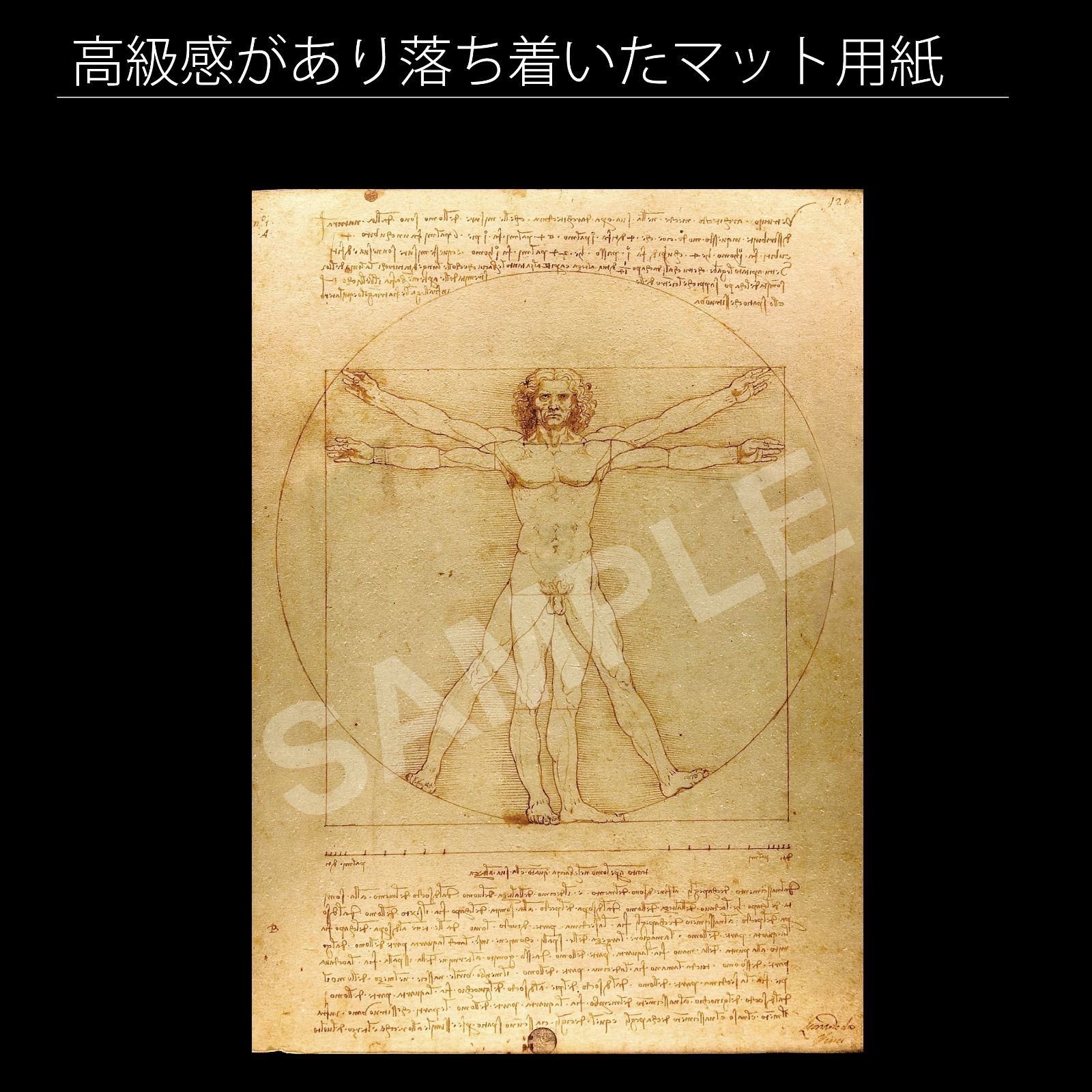 レオナルド・ダ・ヴィンチ Leonardo da Vinci『ウィトルウィウス