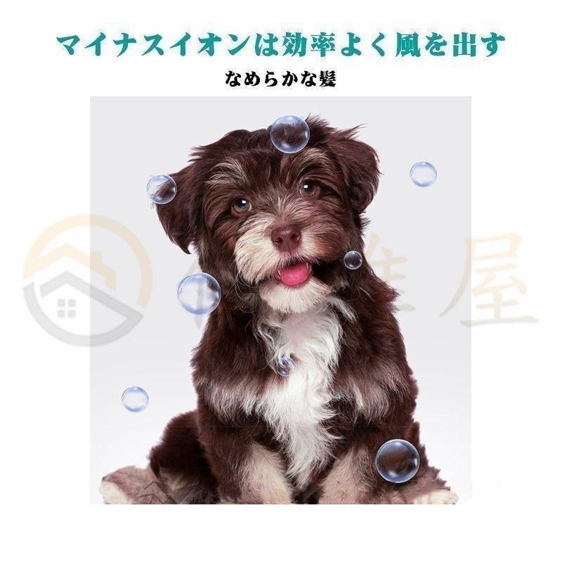 犬 浴