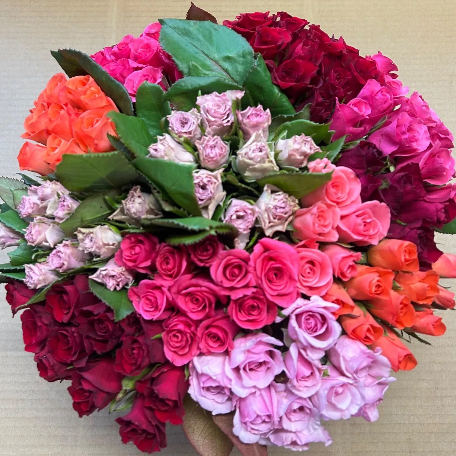薔薇生花 クール便 るっち様専用