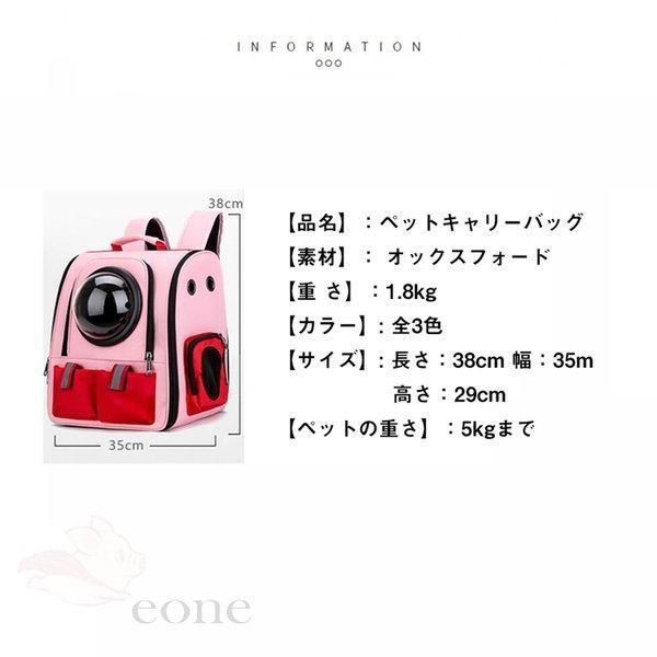 子猫用