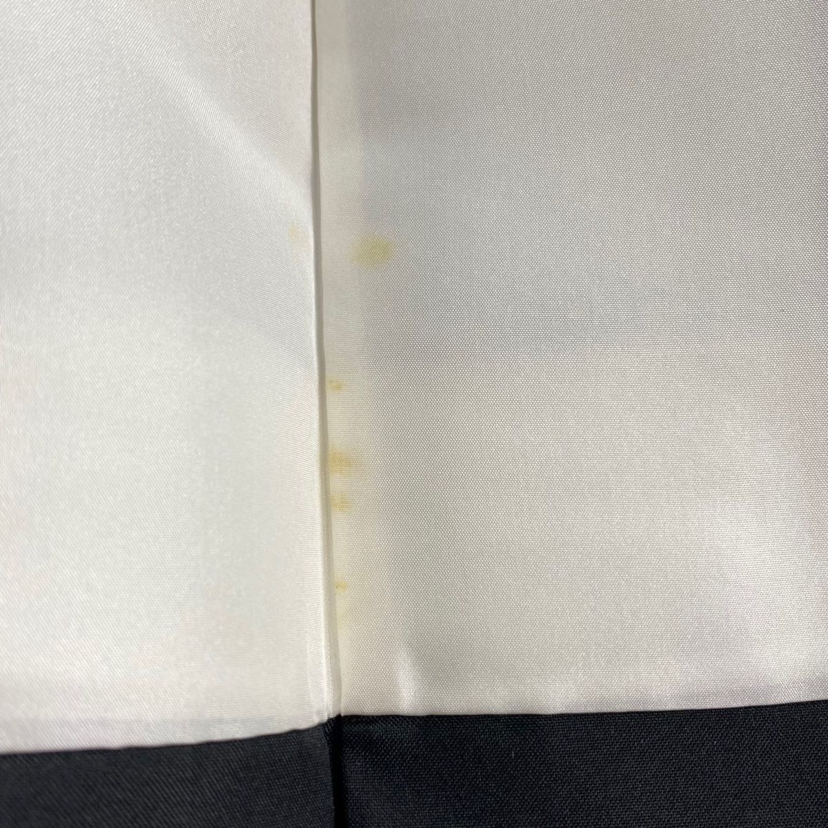 紬 身丈159cm 裄丈67cm M 袷 琉球かすり 証紙 縦縞 絣 墨色 正絹 逸品  