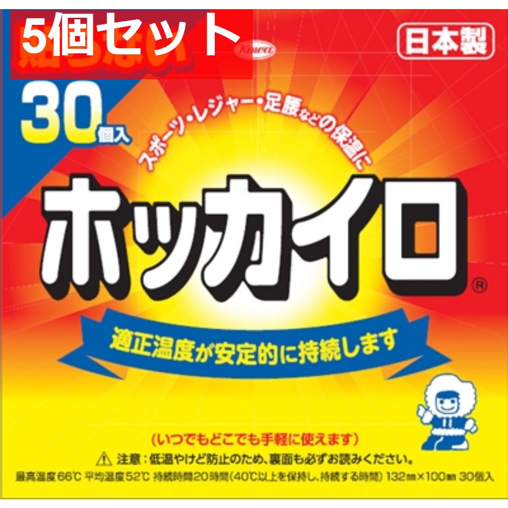 ホッカイロ 貼らないレギュラー30個 5個セット