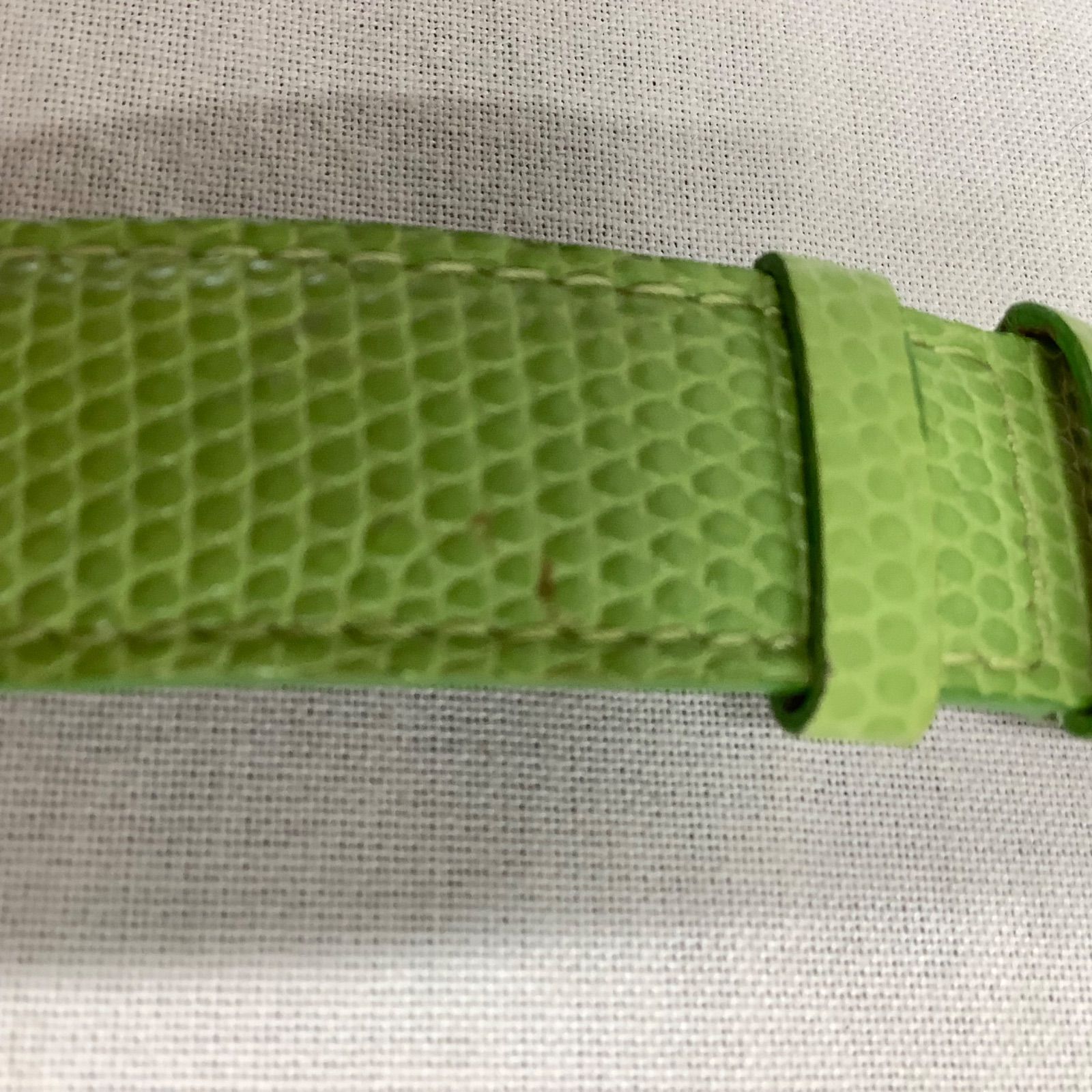 限定品】Pierre Lannier （ピエールラニエ）腕時計 クォーツ 動物