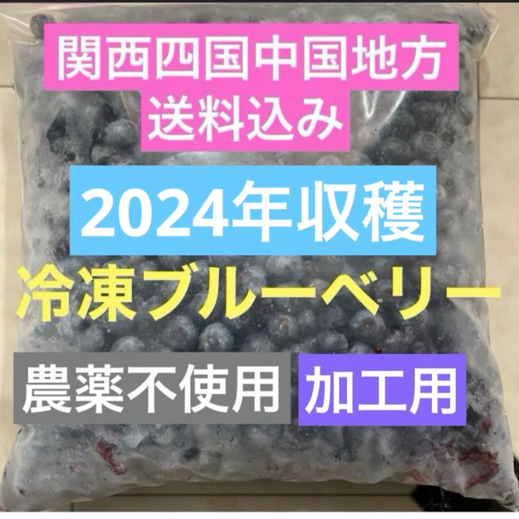 【専用】購入前にコメントお願い致します様　冷凍ブルーベリー　6キロ Kuri （購入時プロフィール必読）】様専用 冷凍ブルーベリー2kg
