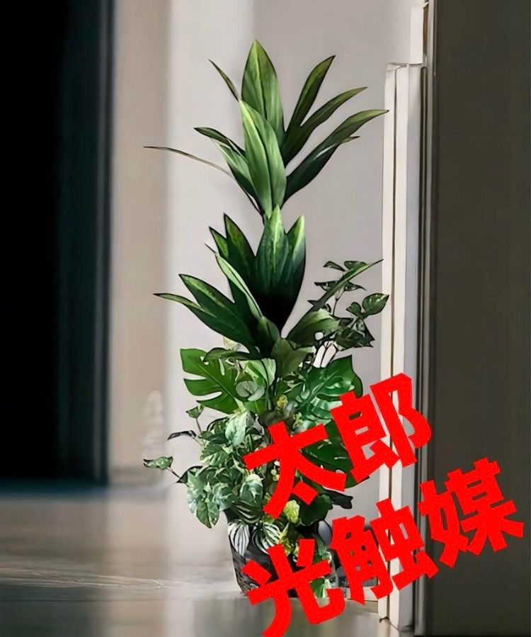 光触媒 人工観葉植物 ウォールグリーン フェイク フラワー マッサンアレンジg1