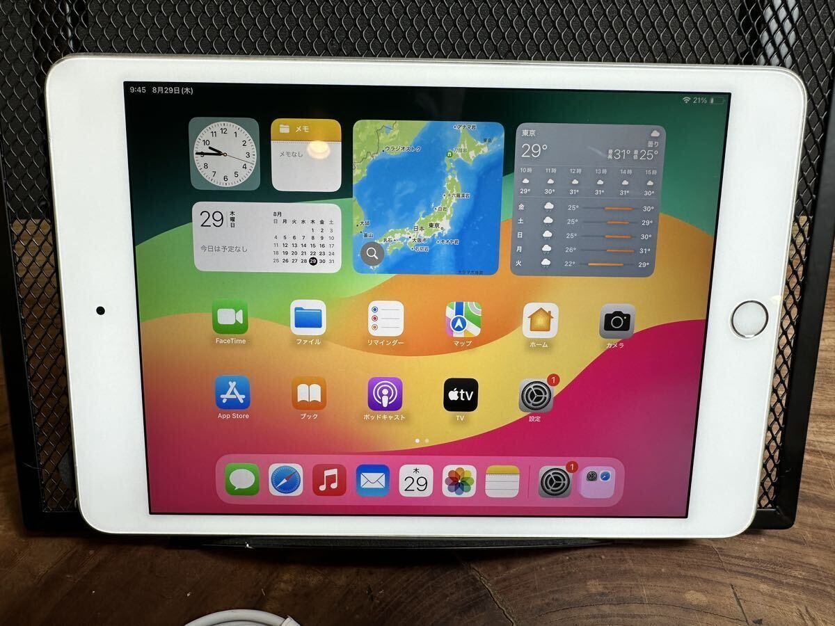 iPad mini 5 256G 残量97% Apple iPad mini 7.9インチ 第5世代 Wi-Fi+Cellular 256GB 2019年春