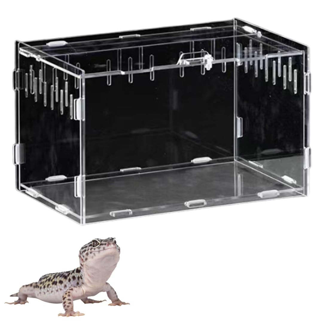 DT125R 3FW 用 GIANNELLI 製 チャンバーとサイレンサ