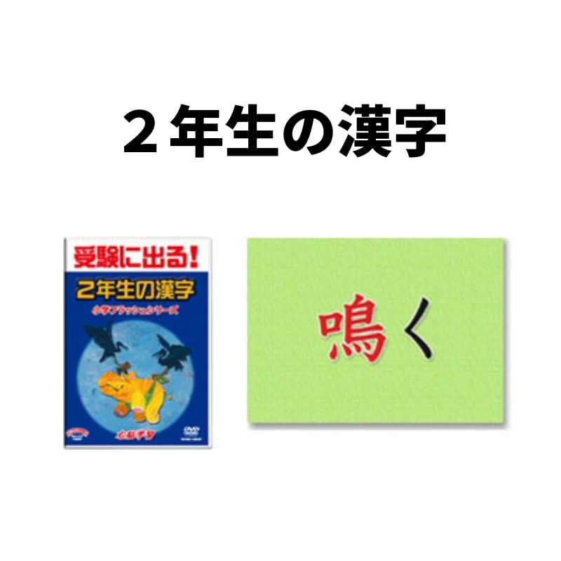 小学国語 中学受験 フラッシュカードDVD 2年生の漢字 星みつる式 小学生 予習 復習 教材 自宅学習 デジタル学習 - メルカリ