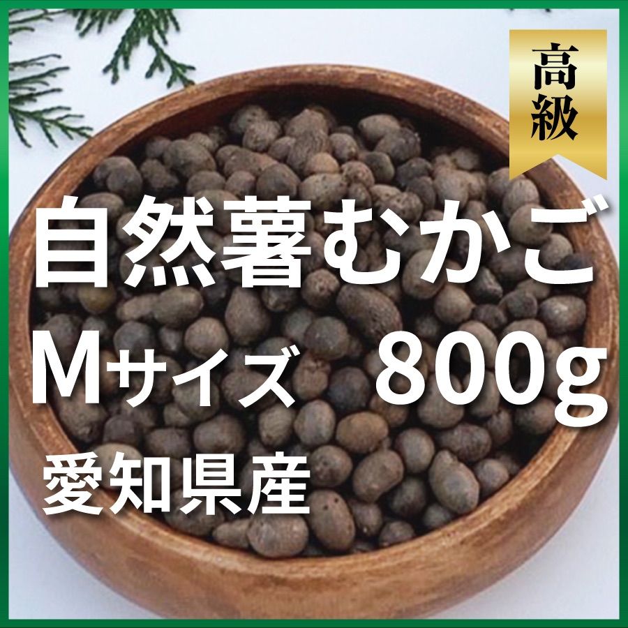 高級 自然薯 (じねんじょ) むかご Mサイズ 800g 産地直送 愛知県 - 自然薯むかご愛知三河 - メルカリ