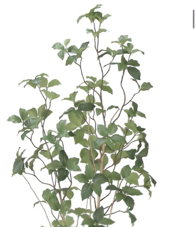 光触媒 人工観葉植物 ウォールグリーン フェイクグリーン サラサ