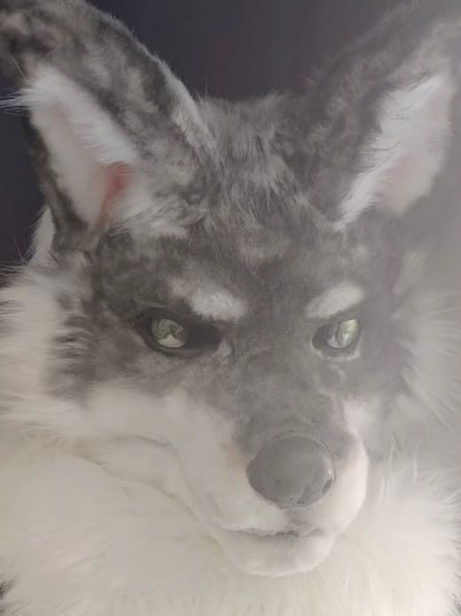 狼
