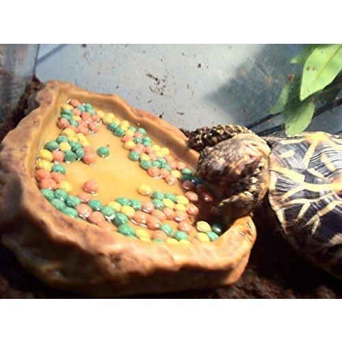 リクガメの栄養 ンスフード180