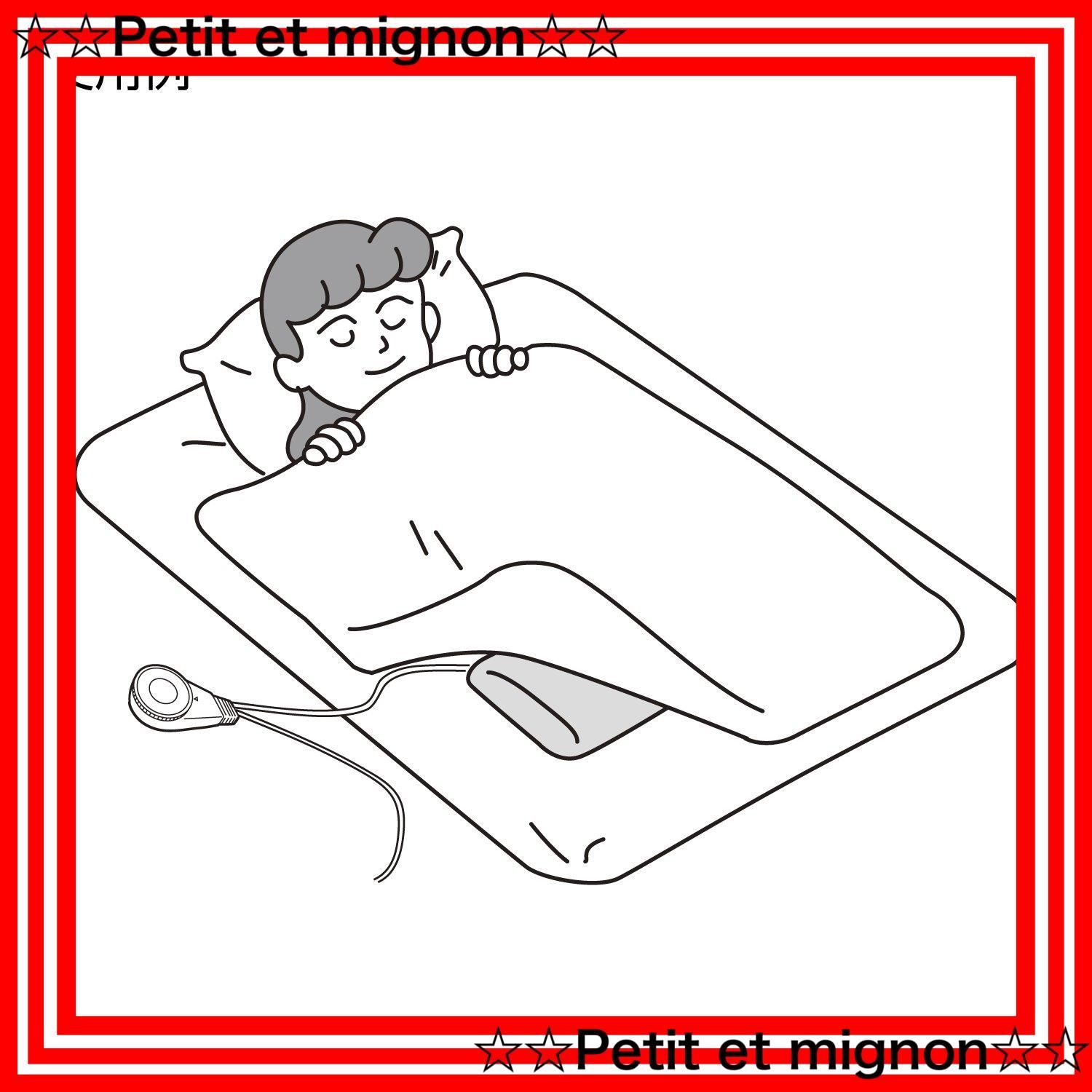 スピード発送 電気あんか ソフト 大形 パナソニック 格子柄 DW-78P-H