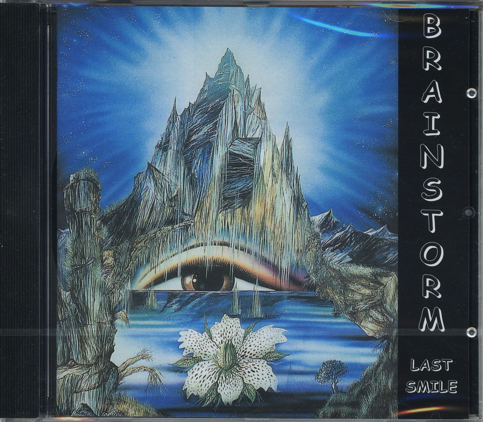 BRAINSTORM / Last smile 未開封