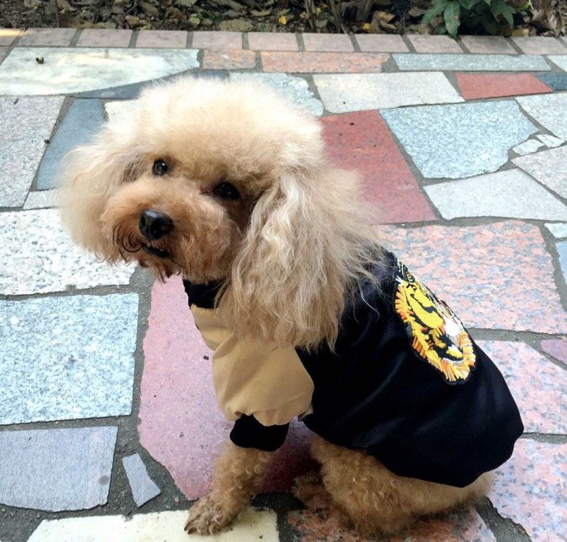 犬用品 犬服 スカジャン フレンチブルドッグ パグ ボストンテリア 柴犬