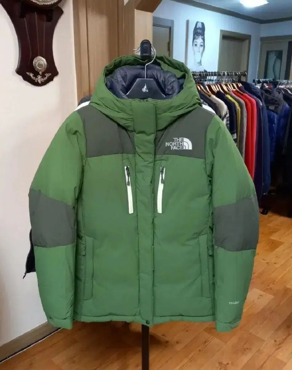 メンズ THE NORTH FACE(ザノースフェイス) グースダウン ダウンジャケット （ 90 ）