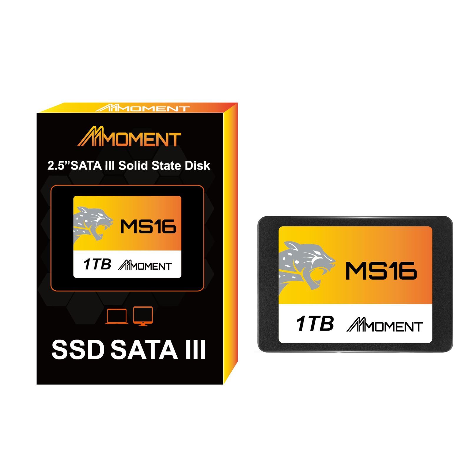 MMOMENT MS16 MS16 SATA III SSD-Moment Semiconductor, Inc.