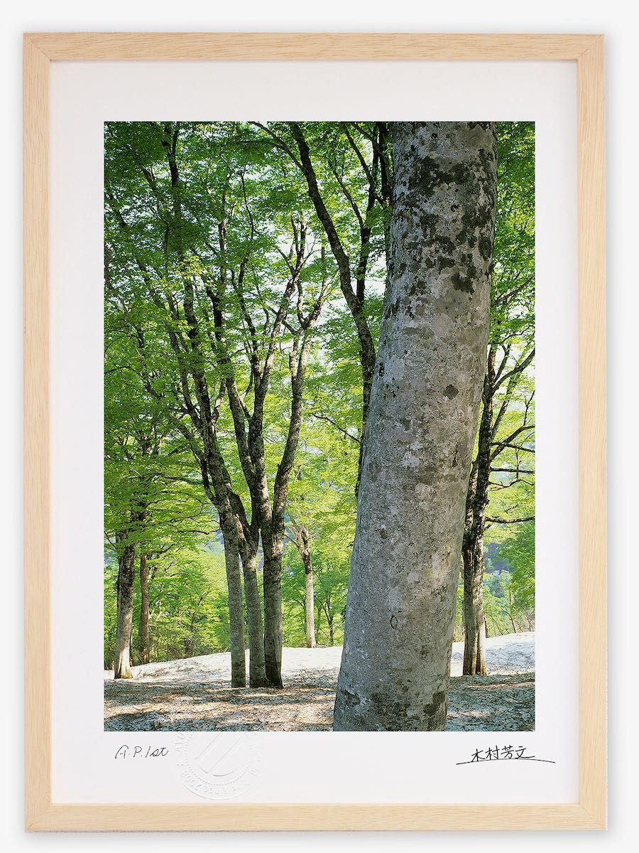 アート・デザイン・音楽 Buzzing at the Sill / Peter Van Agtmael