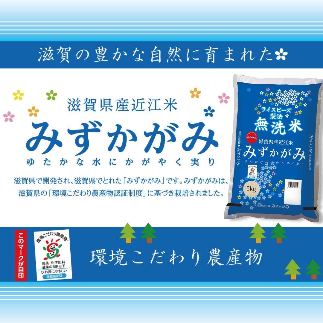 売りです 滋賀県産みずかがみ5年産白米20kg - 食品