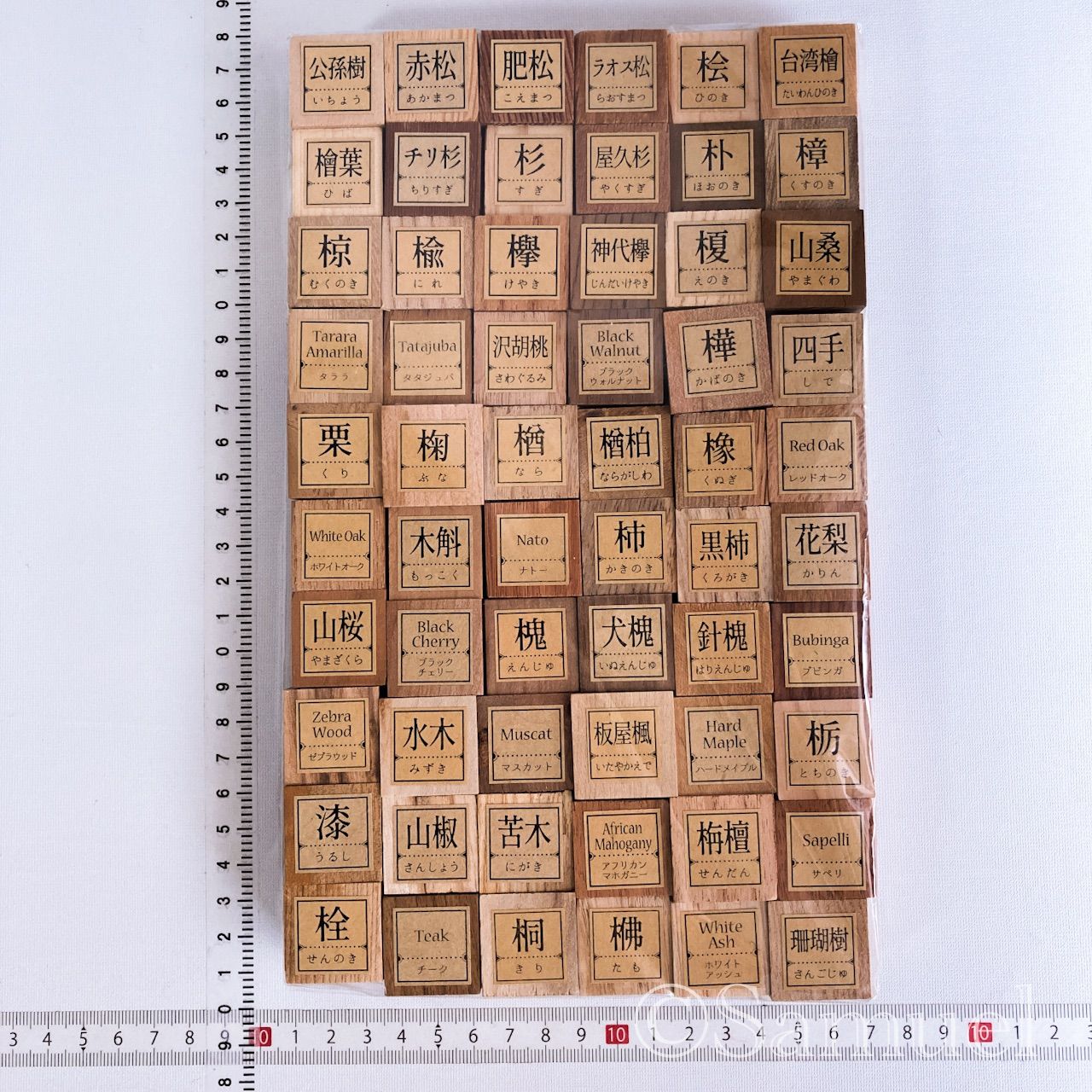 超美形。特大 エゴノキ3.5M(鉢底から)※エリア限定自社配送又はお