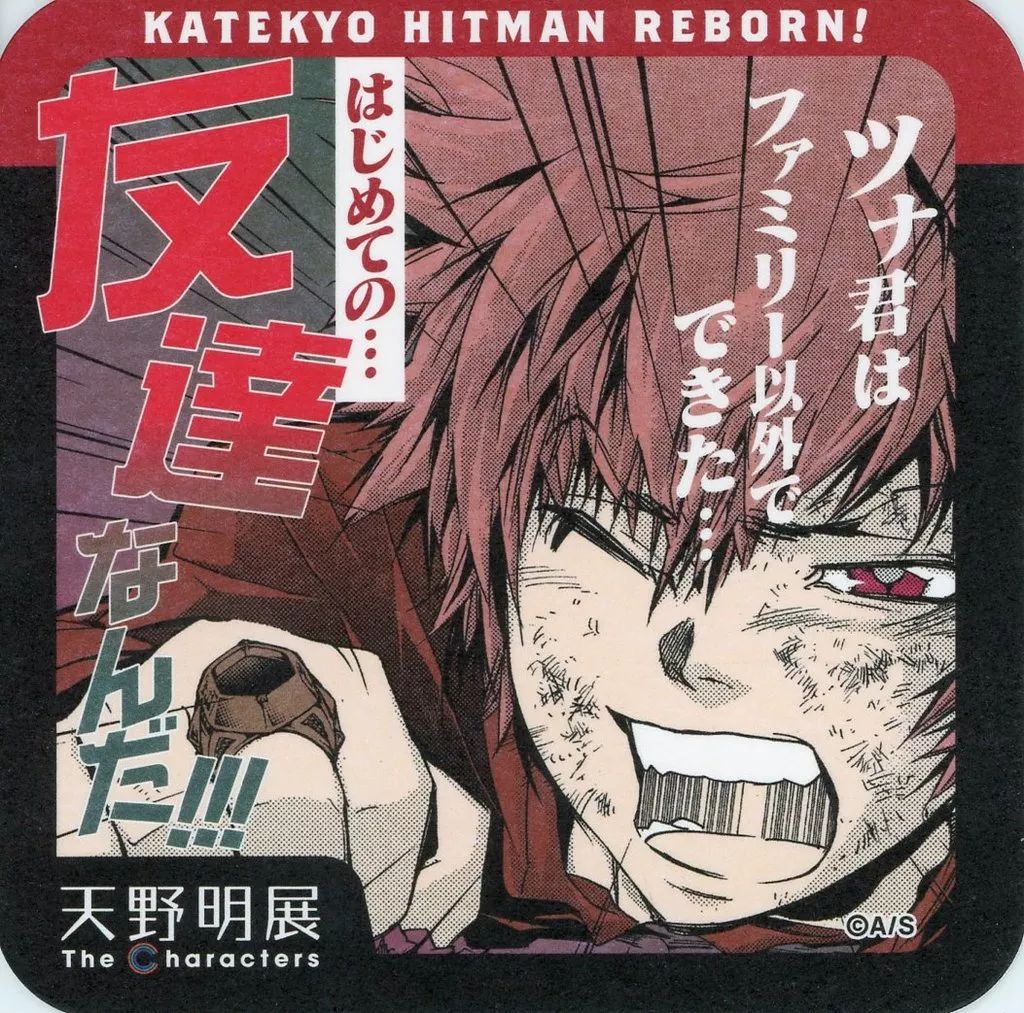 記念 家庭教師ヒットマンREBORN！ アートコースター 沢田綱吉・古里炎