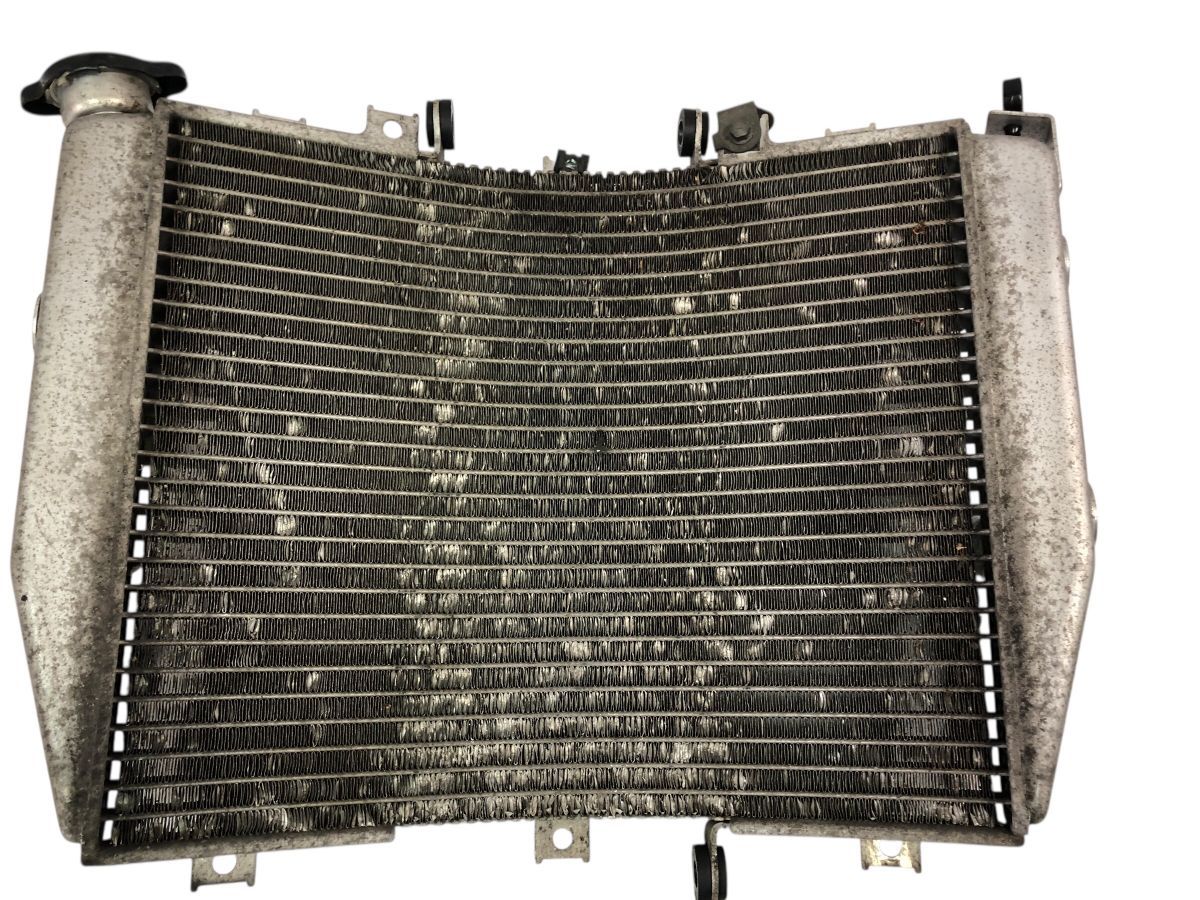 Ninja ZX-10R ZXT00C 03-04 C型 ラジエーター ラジエター フィン曲がり有 2759-M6150 BRIGHTFACE_UK