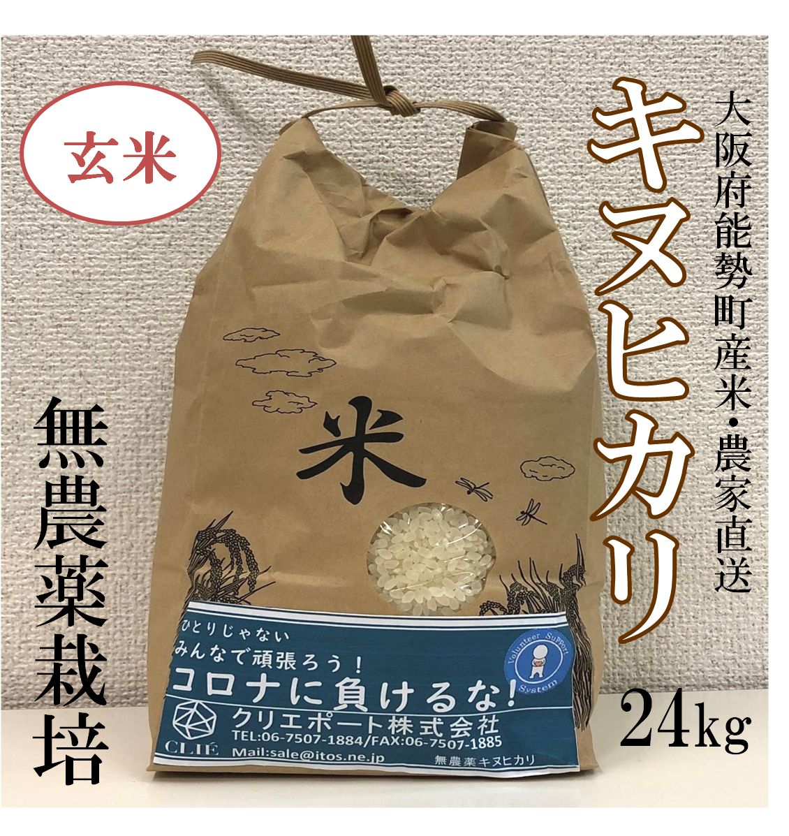 新米キヌヒカリ玄米24kg 大阪府産農家直送