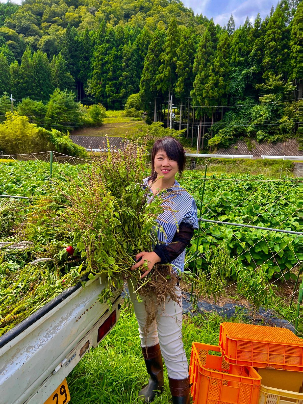 YONEX'24-'25秋冬カタログ未掲載 受注会限定 ロングTシャツ(UNI) YONEX