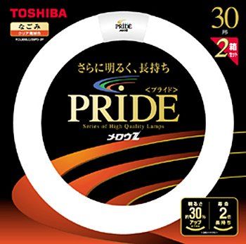 TOSHIBA PRIDE-Ⅱ〈プライド・ツー〉メロウZ 30形 東芝 メロウZ
