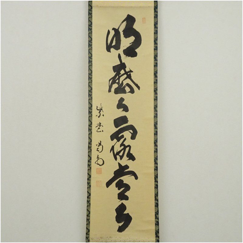 大徳寺 細合喝堂筆 明歴々露堂々 一行書 肉筆紙本掛軸 共箱 掛け軸 床の間 書 おしゃれ 絵画 表具 芸術 茶道 年中掛け インテリア 茶掛 掛物 和室 9月 秋