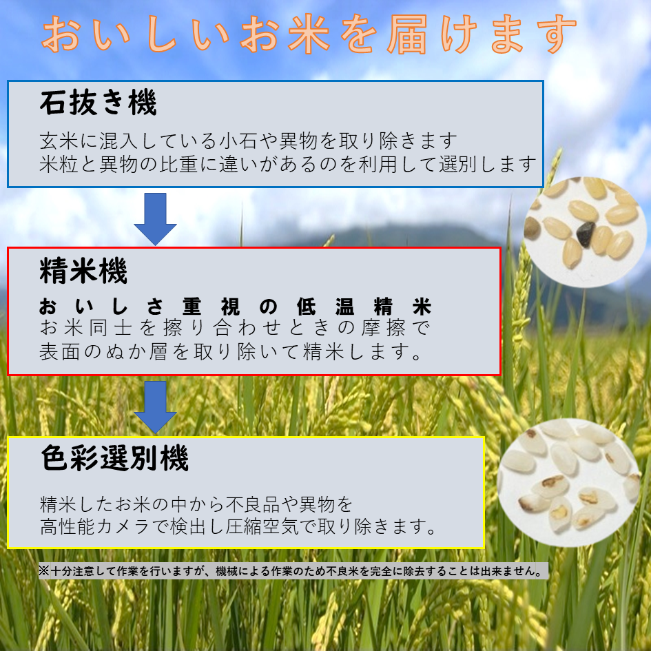 つくし様限定 fuji-tofu.jp