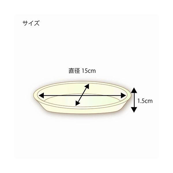 業務用 深型プレート