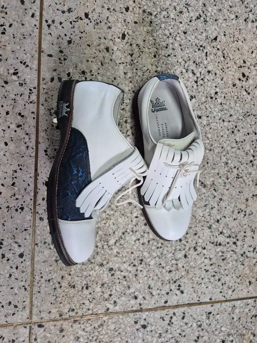 LAMTA ラムタ ゴルフシューズ 白 レディース 235mm LLC-HASEGAWATOSO_COM