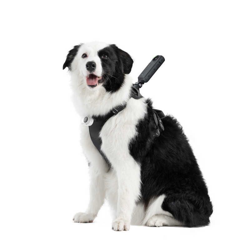 INSTA360 ペット用ハーネスマウント