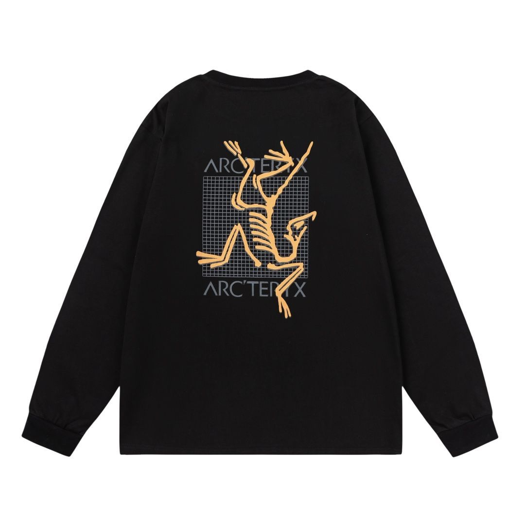 大人気アイテム 本日限定特価】Arc'teryx T ロングスリーブ メンズ＆レディース スキー・スノーボードアクセサリー
