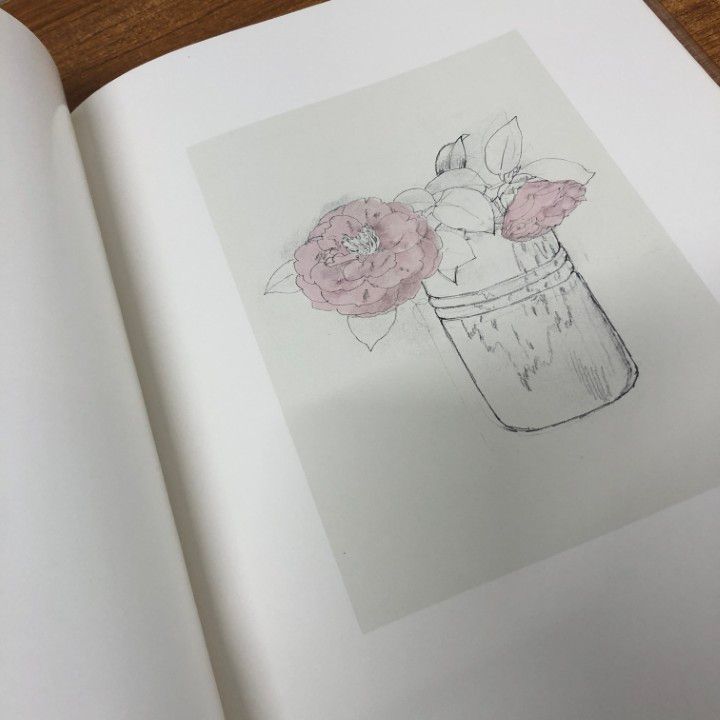 堀文子写生集 限定20部(堀文子) / 古本、中古本、古書籍の通販は