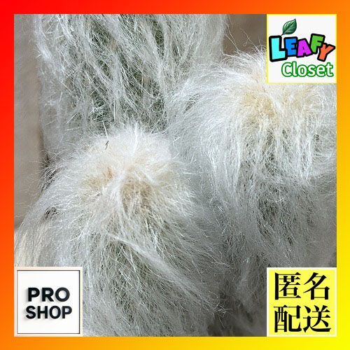 シューズ(男性用) WAVE EXCEED TOUR 6 OC 10th 27.0cm 観葉植物 サボテンエスポストア リッテリー(老楽) 3号(現品