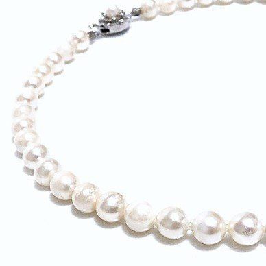 ●8.5mm玉 アコヤ本真珠ネックレス/am-A-209-5581-6.6/天然 ○8.5mm玉 アコヤ本真珠ネックレス/am-A-209-5581-6.6/天然