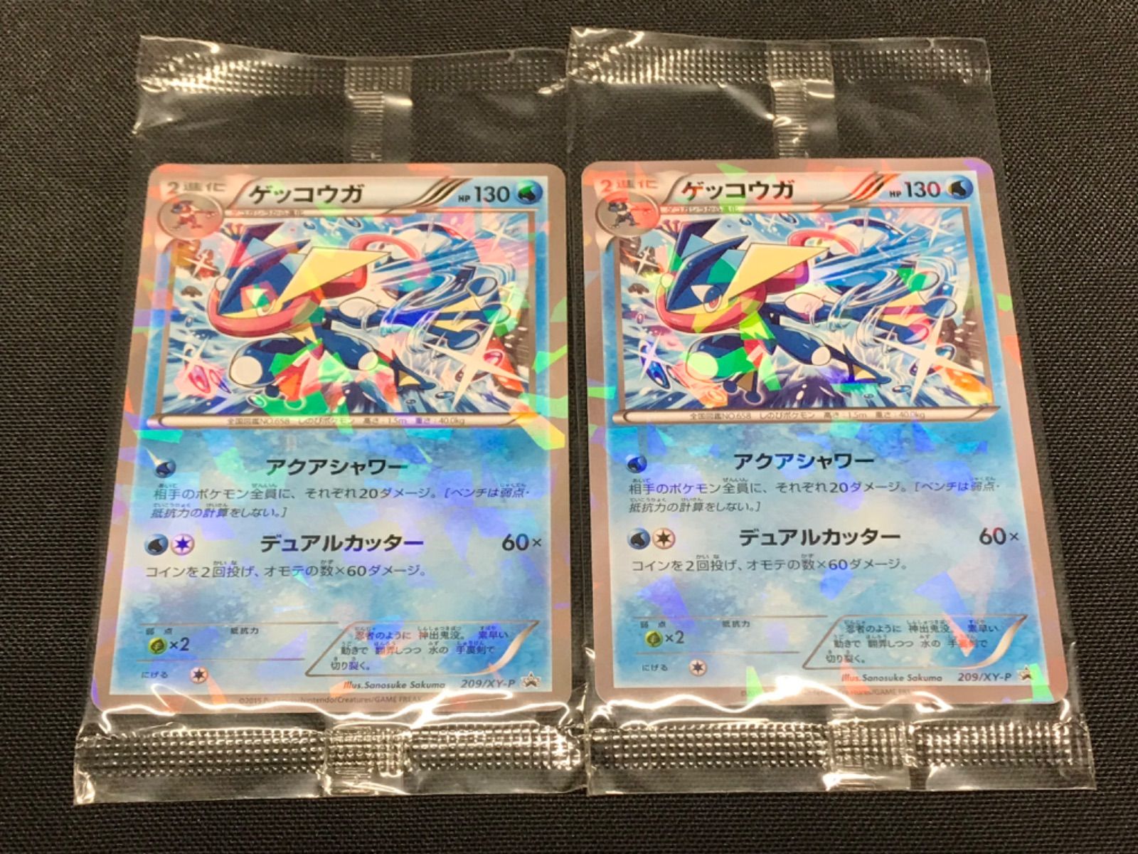 hh【未開封】ゲッコウガ 209/XY-P 2枚セット プロモ
