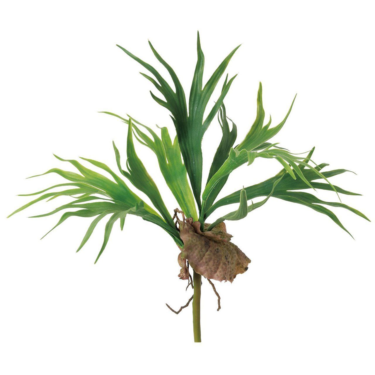 MAGIQ ビカクシダ 造花 グリーン 葉L 30 L 42 W 48㎝ 東京堂 Tokyodo zzz