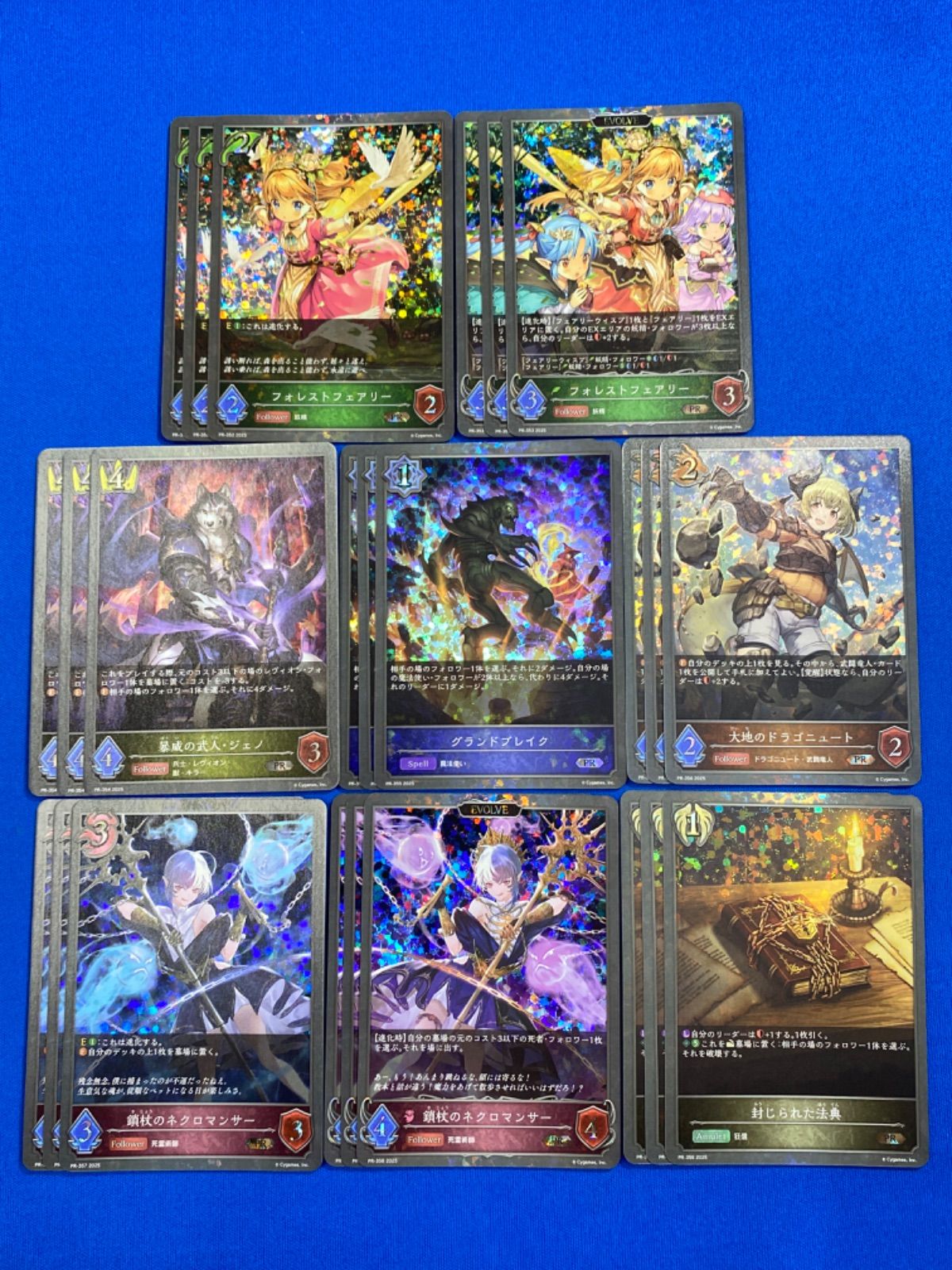 シャドウバース エボルヴ 2025 Vol1 PRパック PRパック収録カード | Shadowverse EVOLVE（シャドウバース